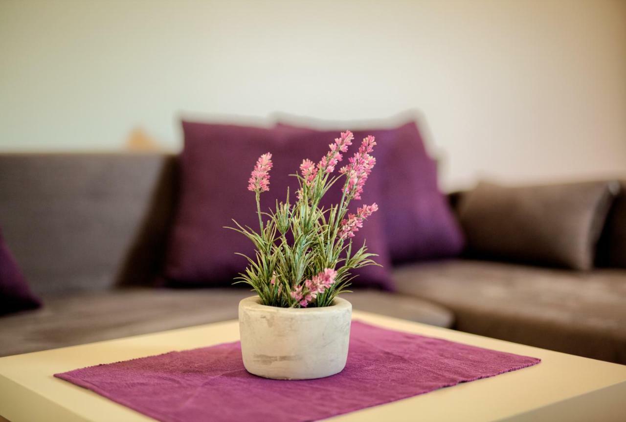 Apartment Krizan *