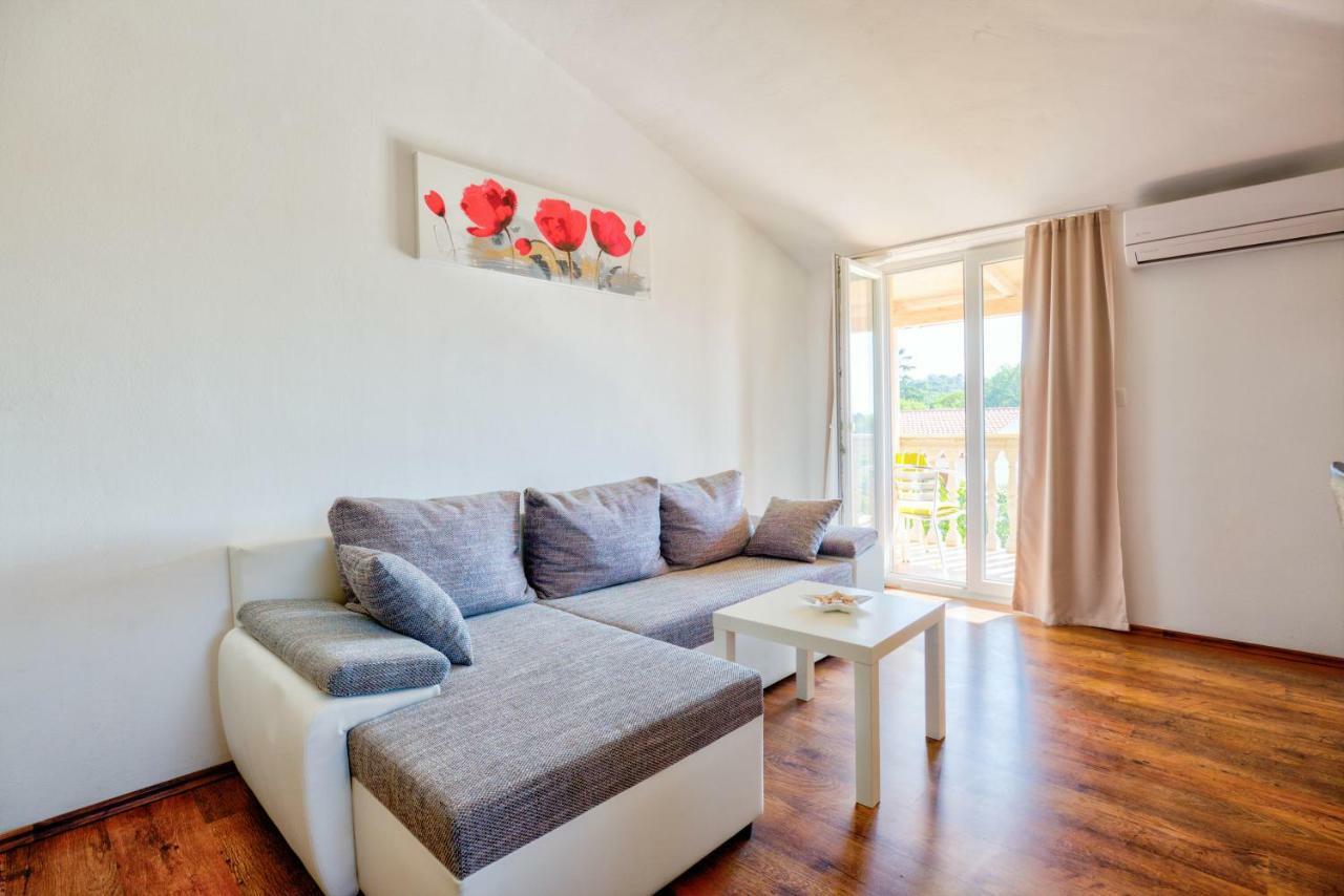 Apartment Krizan *